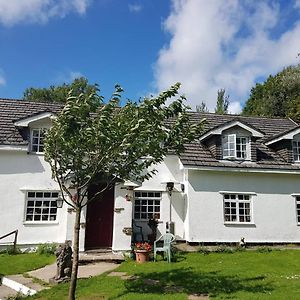Coynant Farm Guesthouse - Farm Park Stay